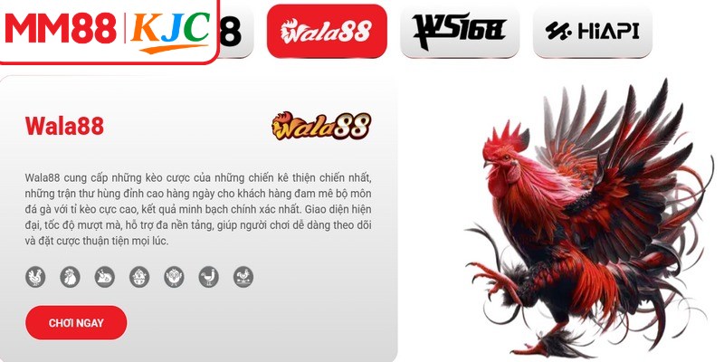 Đá gà MM88 xứng đáng là địa chỉ giải trí hàng đầu hiện nay