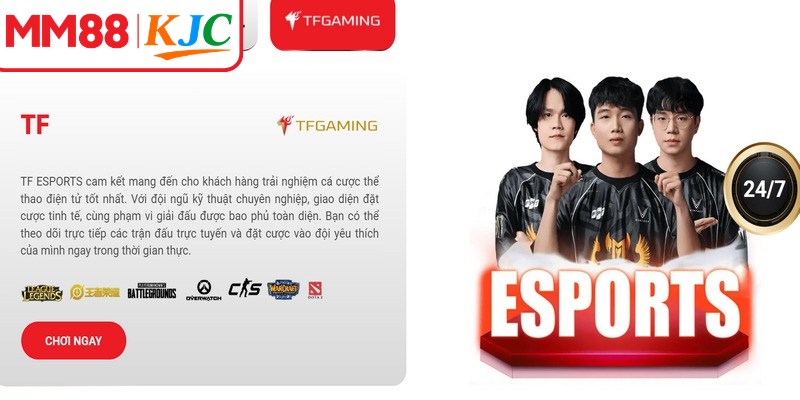 E-sports TF là một thương hiệu bảo chứng cho chất lượng và sự uy tín