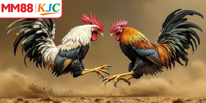Chất lượng phát sóng là yếu tố được người dùng quan tâm